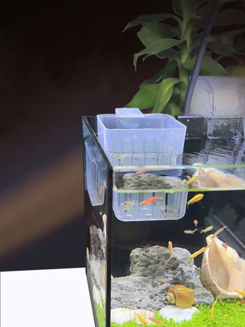 Panier hydroponique Transparen - Aquarium Plant Rings avis et prix