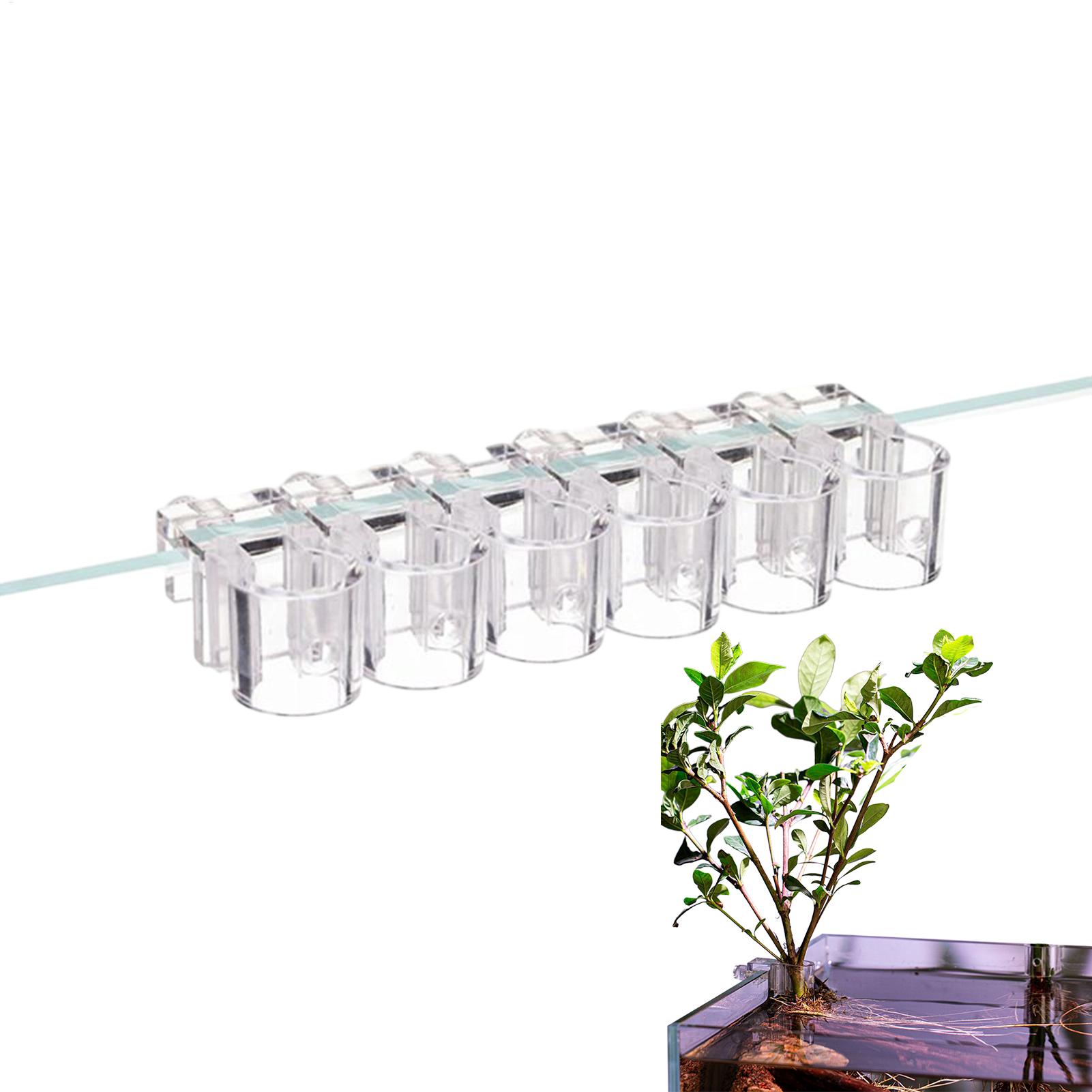 Panier pour plantes d'aquarium - Aquarium Plant Rings avis et prix