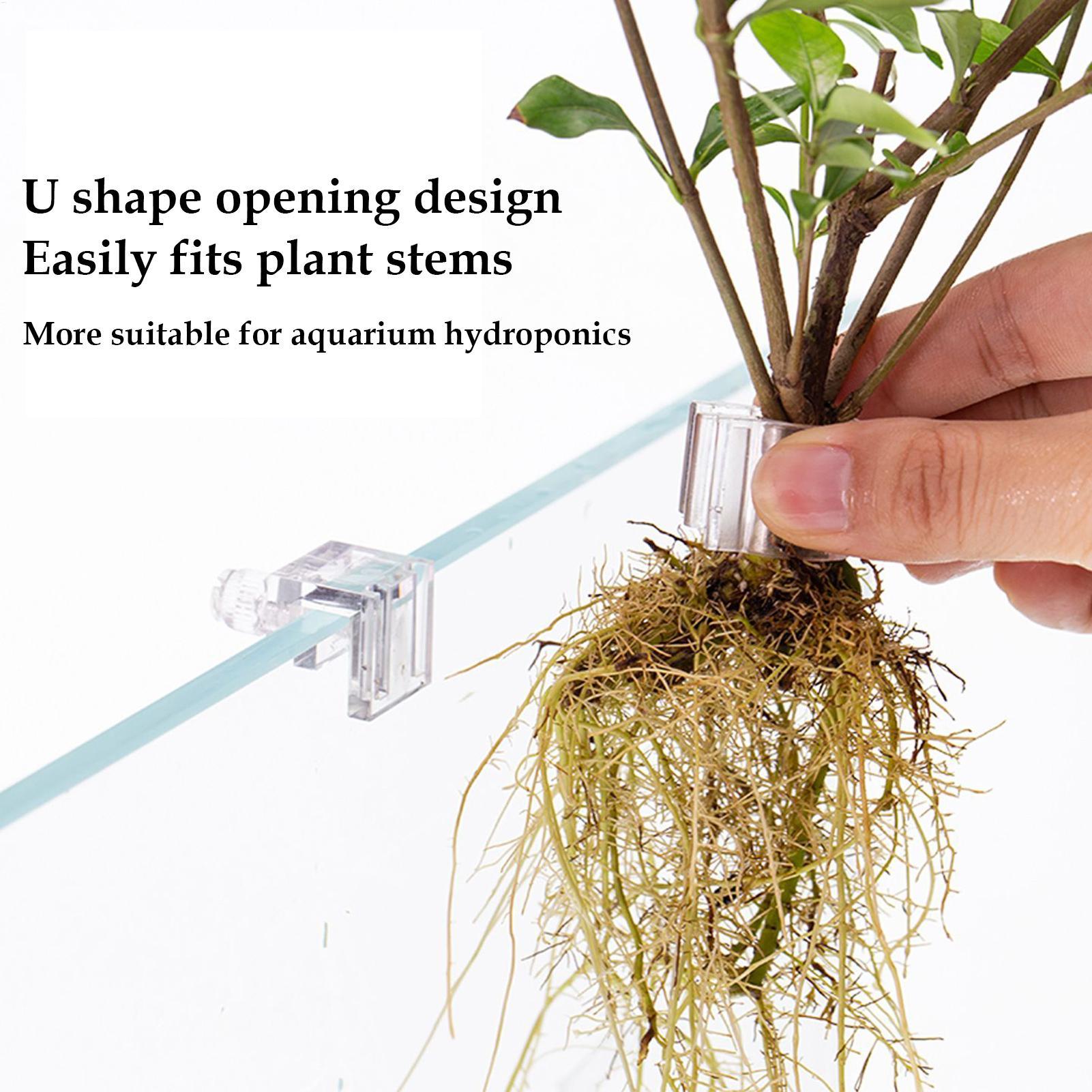 Panier pour plantes d'aquarium - Aquarium Plant Rings avis et prix
