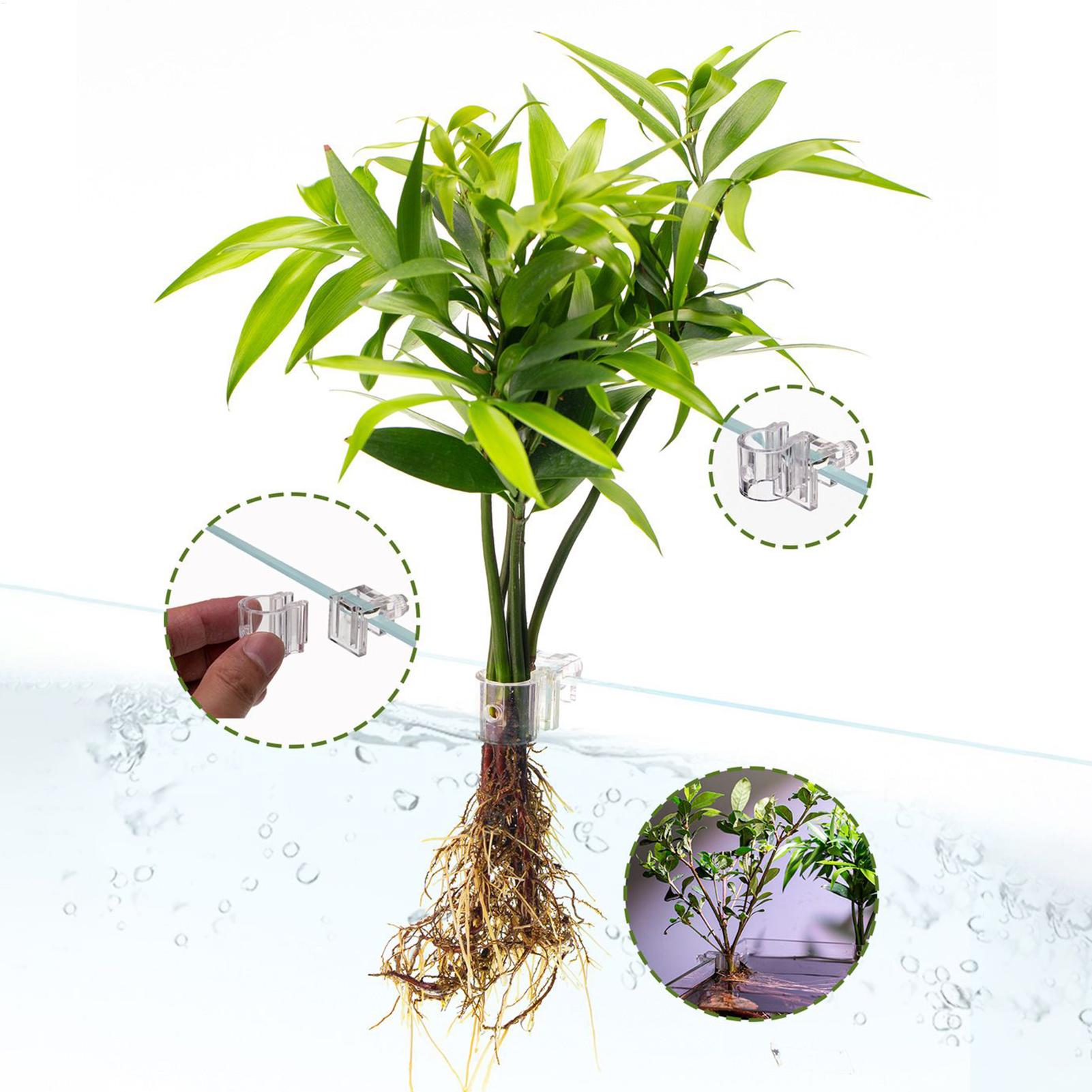 Panier pour plantes d'aquarium - Aquarium Plant Rings avis et prix