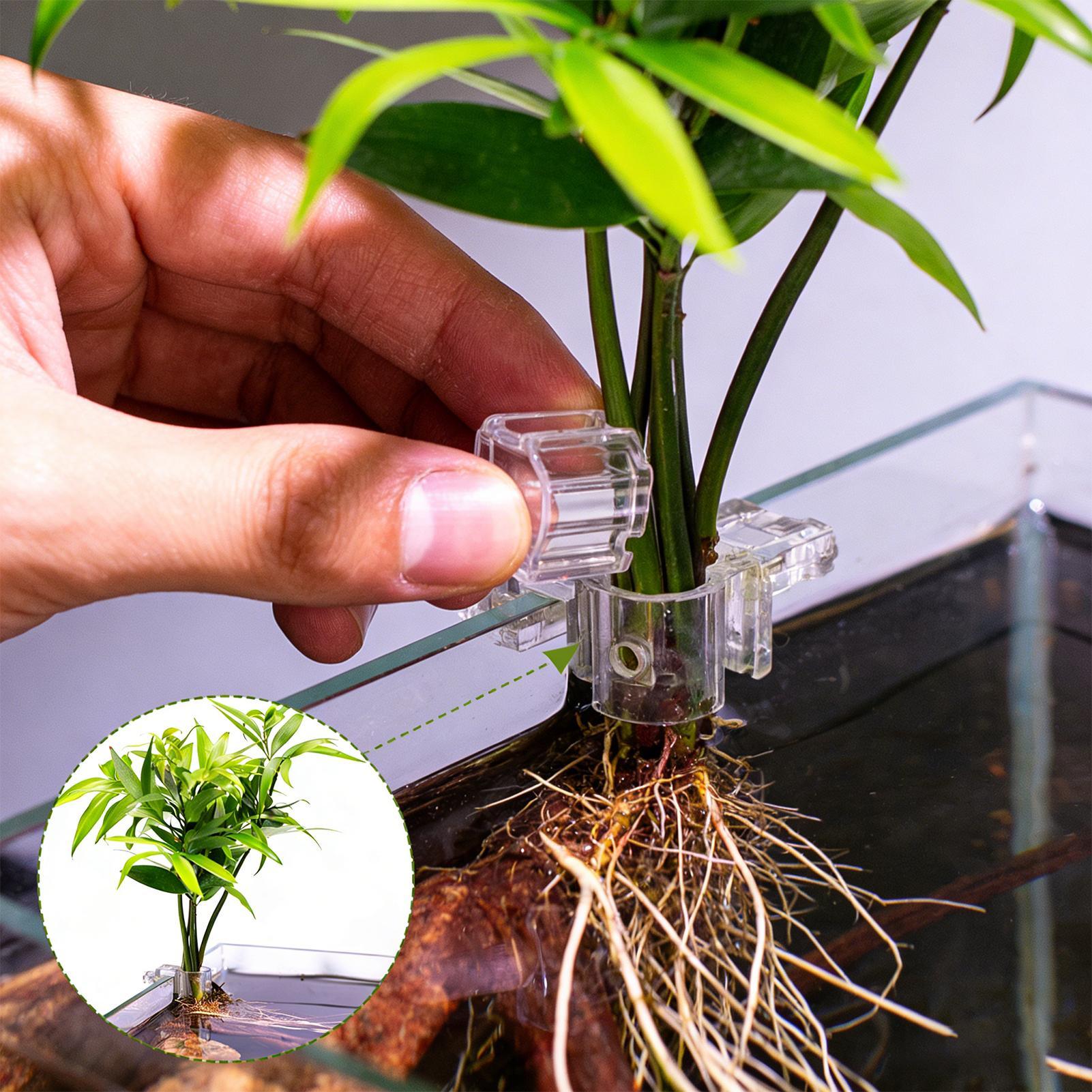 Panier pour plantes d'aquarium - Aquarium Plant Rings avis et prix