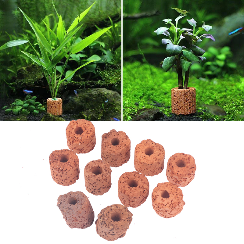 Lot de 10 anneaux de fixation  - Aquarium Plant Rings avis et prix