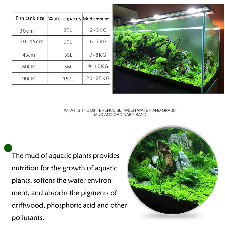Sol de graines de plantes d'aq - Aquarium Planting Ideas avis et prix