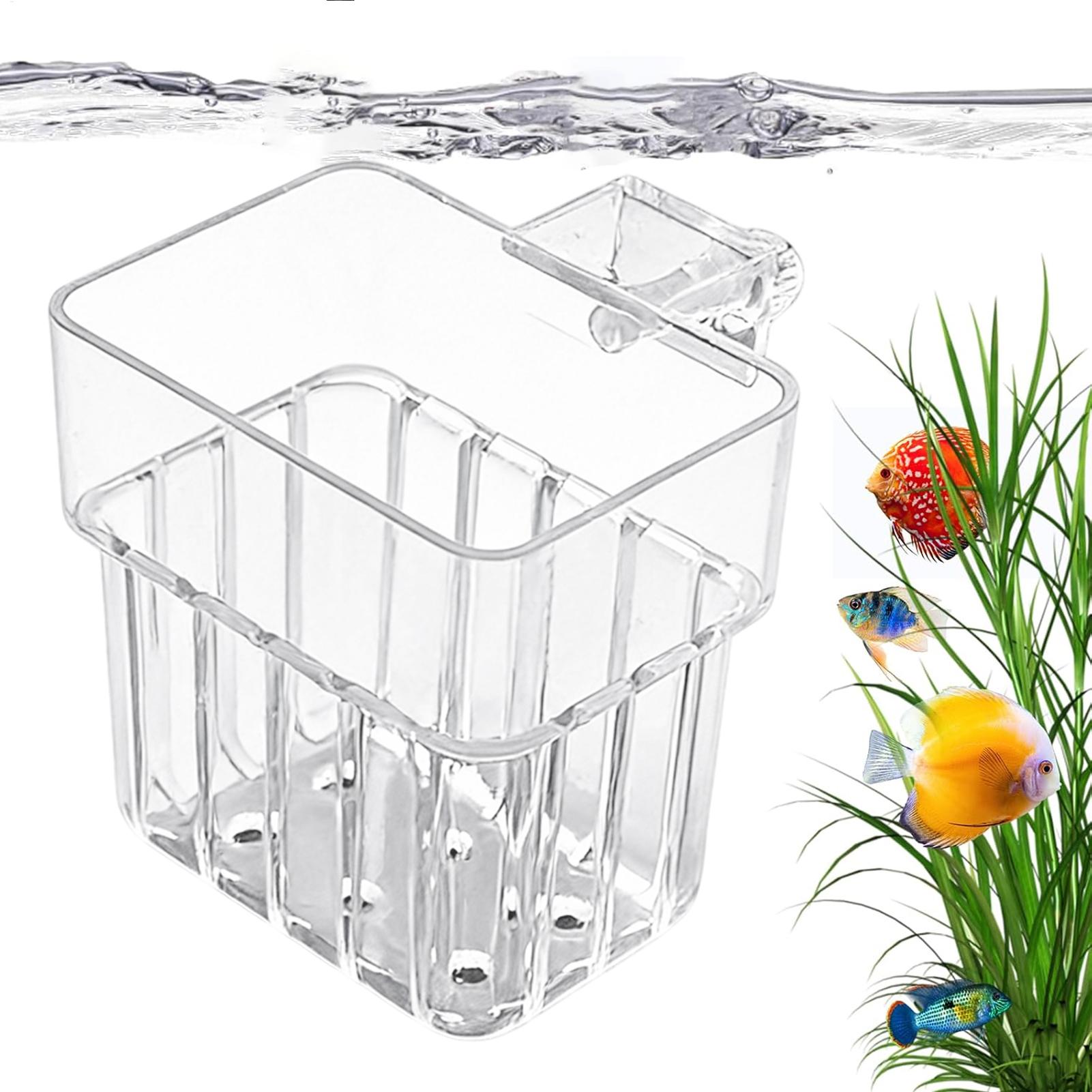 Support transparent suspendabl - Aquarium Plant Rings avis et prix