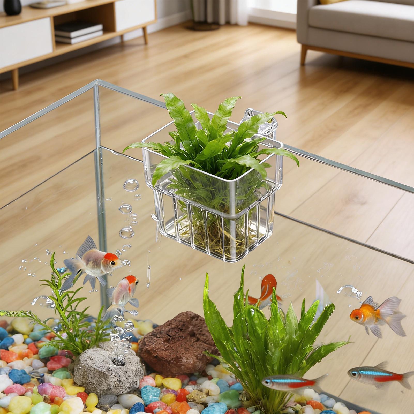 Support transparent suspendabl - Aquarium Plant Rings avis et prix