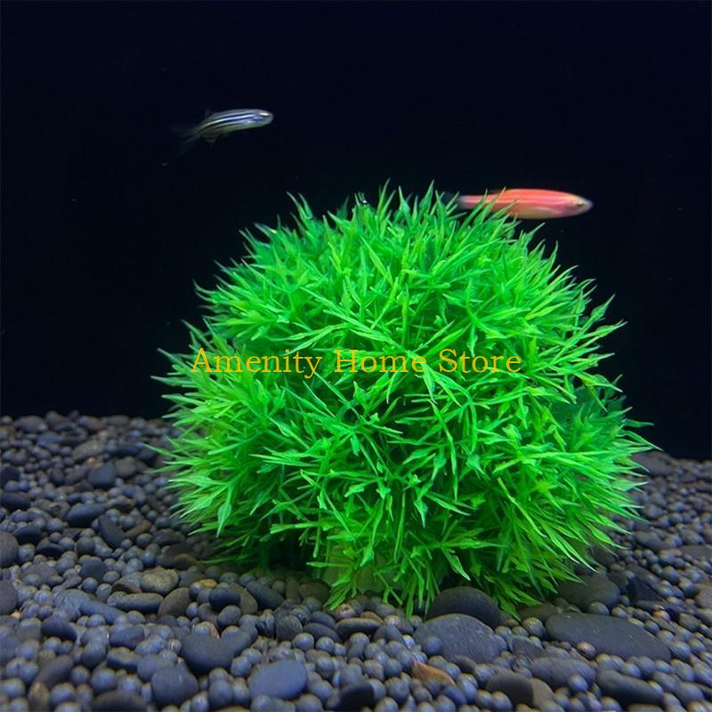 Marimo artificiel vert F26C, p - Aquarium Plant Roots avis et prix