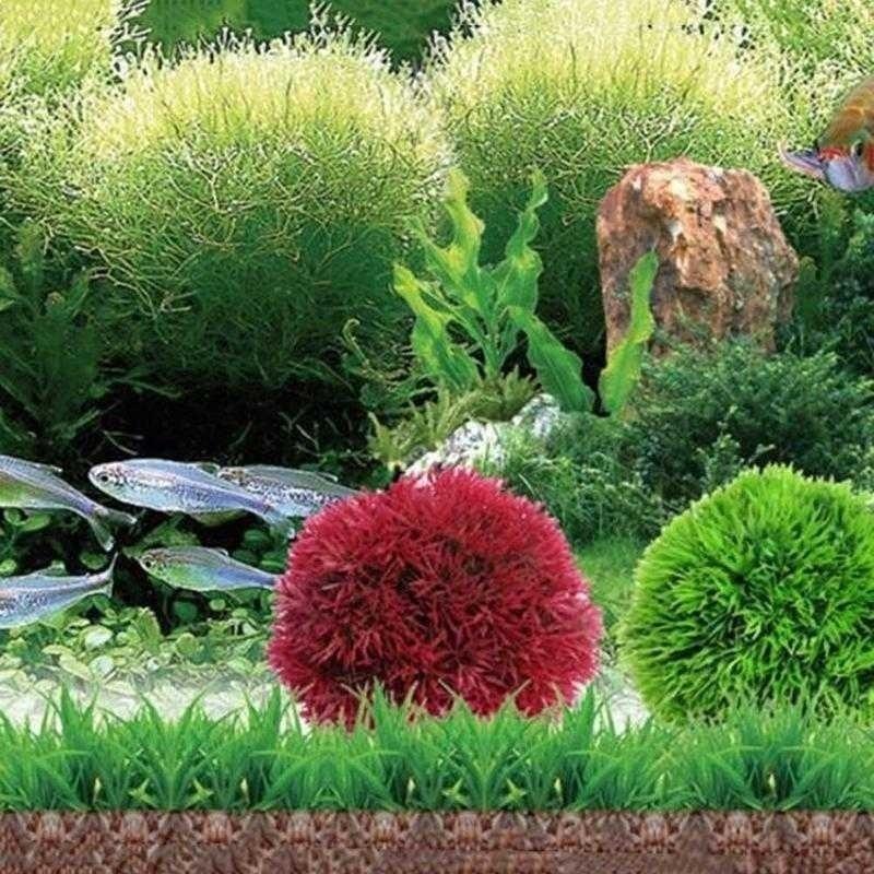 Plantes aquatiques artificiell - Aquarium Plant Rings avis et prix