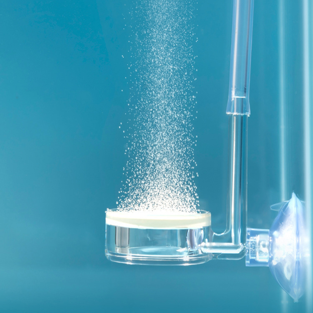 Diffuseur pour plantes d'aquar - Planted Aquarium Co2 avis et prix