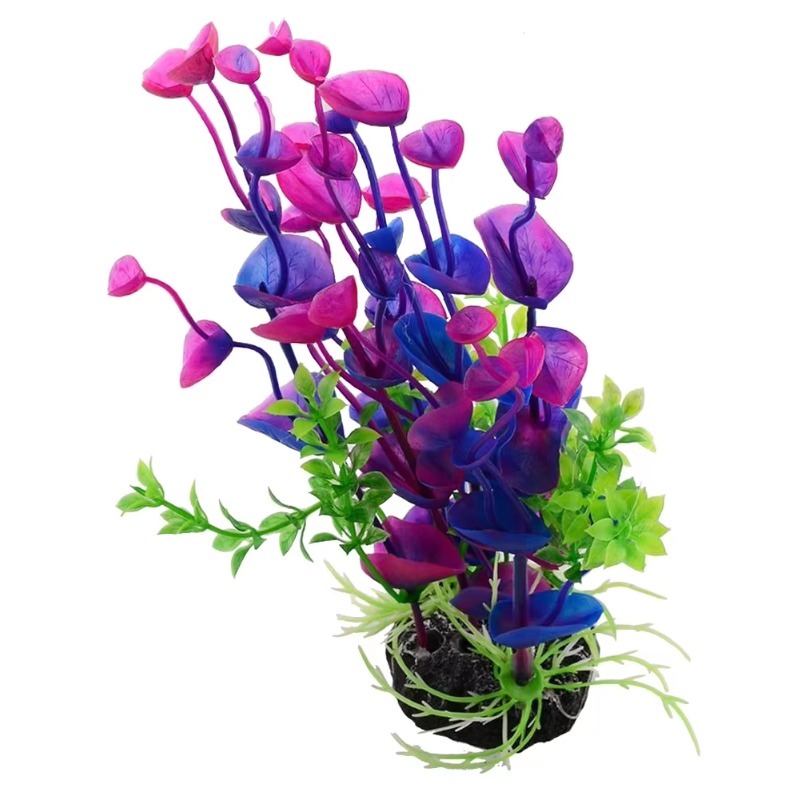 10 pièces de plantes aquatique - Aquarium Plant Violet avis et prix
