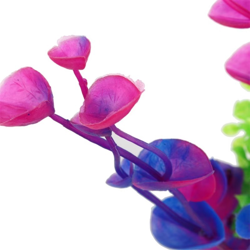 10 pièces de plantes aquatique - Aquarium Plant Violet avis et prix