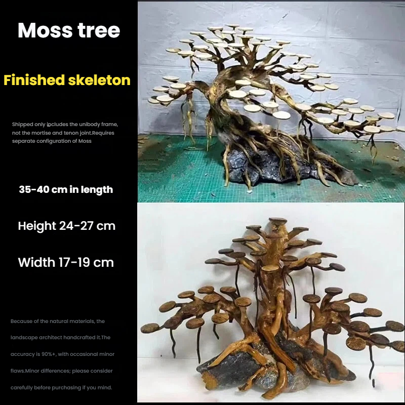 Décoration aquascaping : Ornem - Aquarium Planting Ideas avis et prix