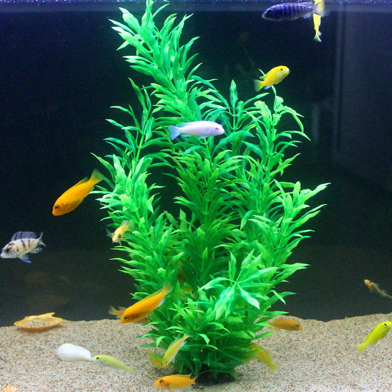 Plantes artificielles pour aqu - Aquarium Plant Violet avis et prix