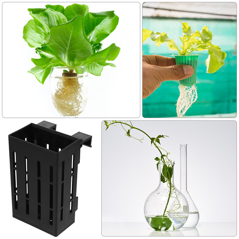 6 pièces, support pour plantes - Aquarium Plant Roots avis et prix