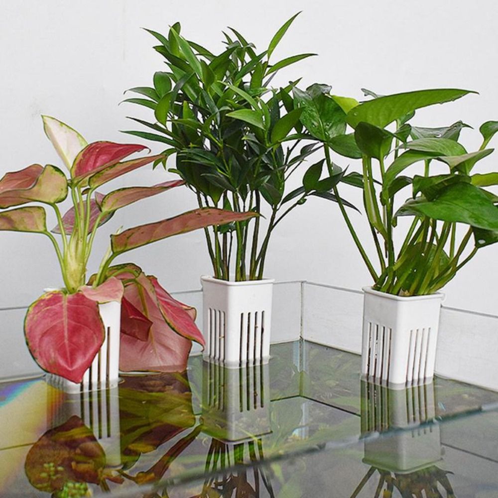Panier en plastique pour plant - Aquarium Plant Easy To Grow avis et prix