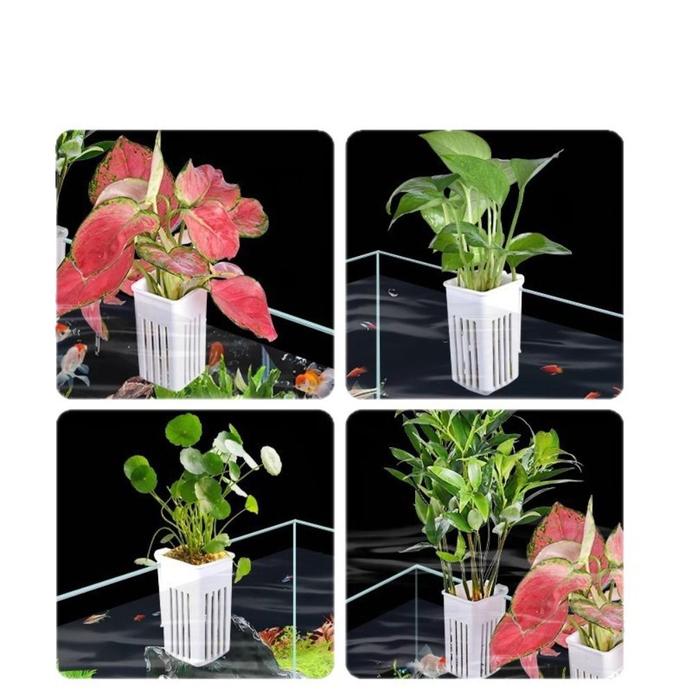 Panier en plastique pour plant - Aquarium Plant Easy To Grow avis et prix