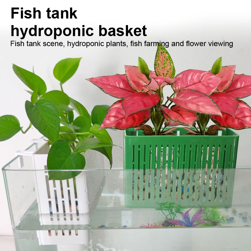 【F】Support suspendu pour aquar - Aquarium Plant Rings avis et prix