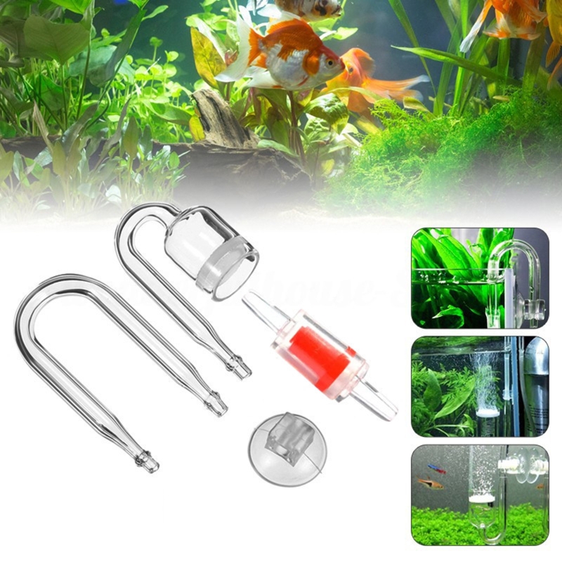Diffuseur de CO2 pour aquarium - Aquarium Planting Ideas avis et prix