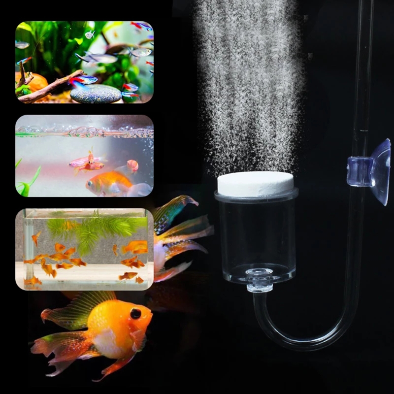 Diffuseur de CO2 pour aquarium - Aquarium Planting Ideas avis et prix