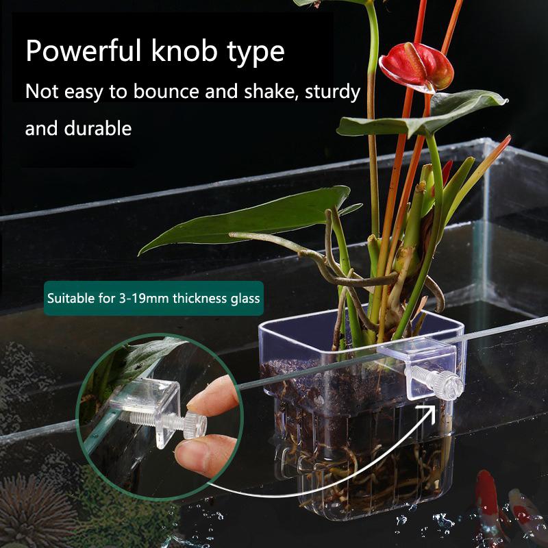 Coupelles de culture hydroponi - Aquarium Planted Tank Setup avis et prix