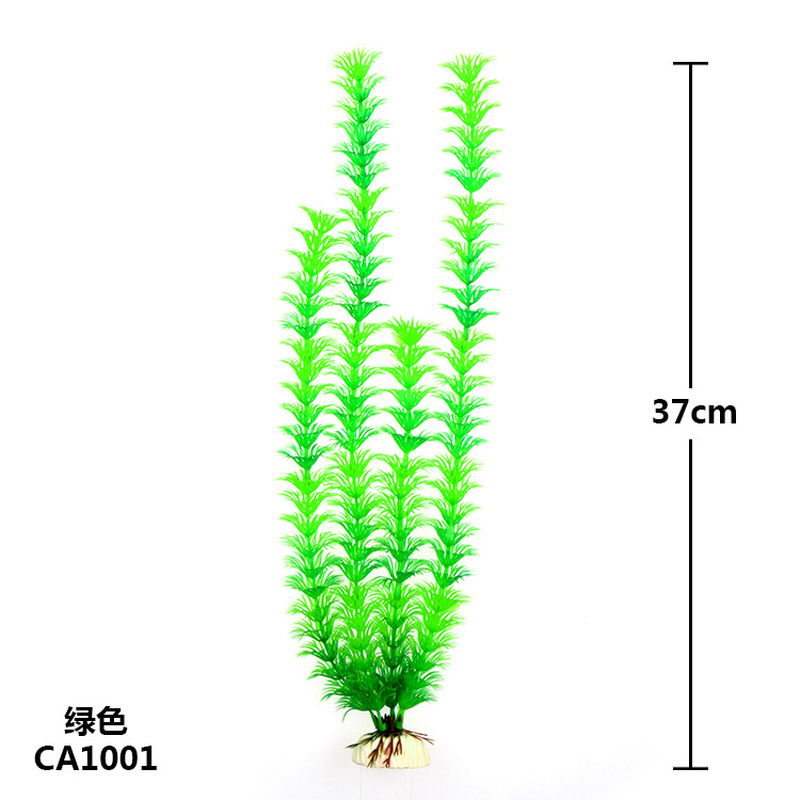 Nouvelles plantes aquatiques a - Aquarium Plant Violet avis et prix