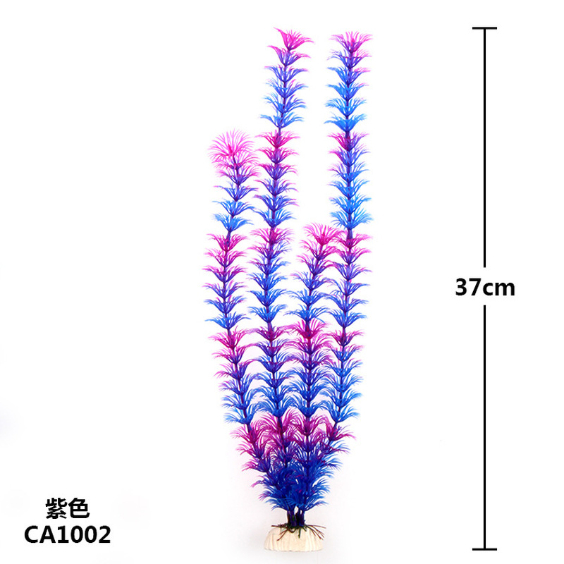 Nouvelles plantes aquatiques a - Aquarium Plant Violet avis et prix