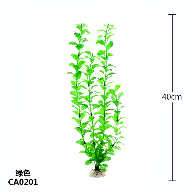Nouvelles plantes aquatiques a - Aquarium Plant Violet avis et prix